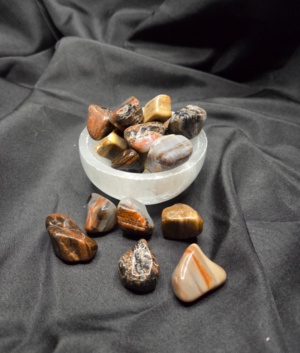 Petrified Wood Tumble