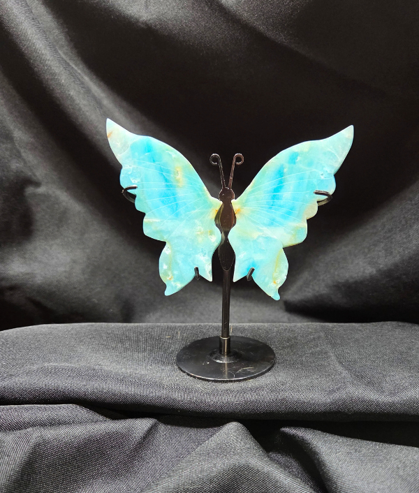 Caribbean Calcite Butterfly