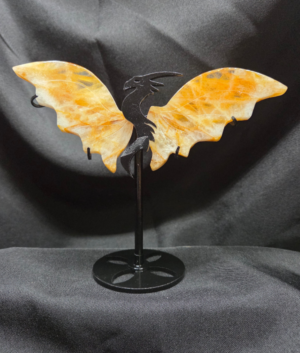 Dragon Wings-Golden Healer