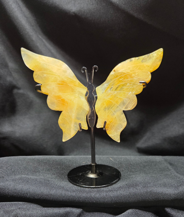 Golden Healer Butterfly