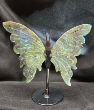 Butterfly Wings-Labradorite