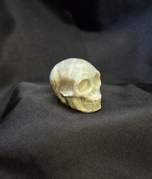 Shellstone aka Shell Jasper Small Polished Crystal Skull 2 inches
