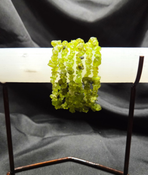 Peridot Chip Beads Bracelet