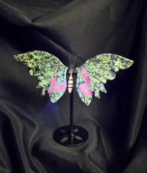 Butterfly Wings-Ruby in Zoisite