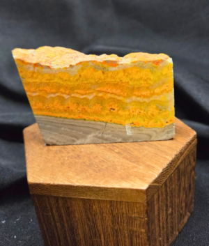 Natural Bumble Bee Jasper Freeform