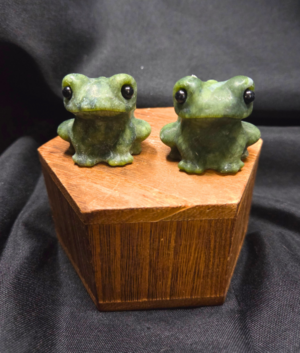 Cute Serpentine Frog