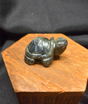 Turtle-Labradorite