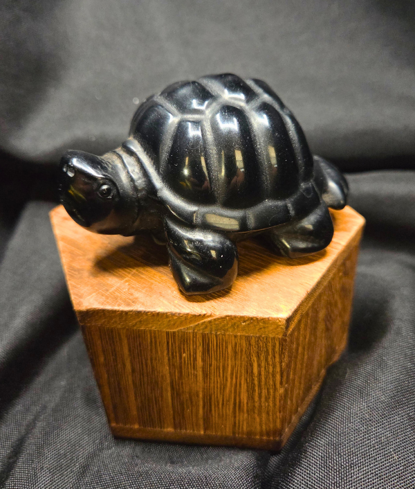 Obsidian Turtle