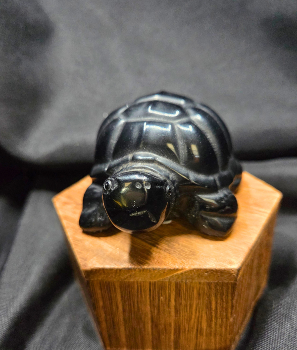 Obsidian Turtle2