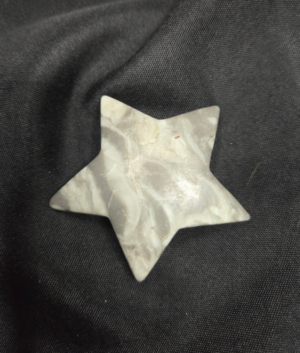 Star-Shell Stone Jasper
