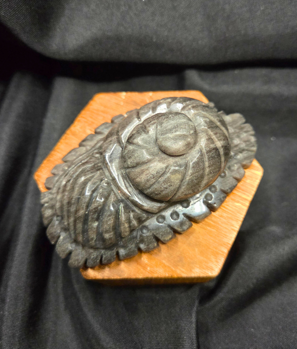 Silver sheen sea creature