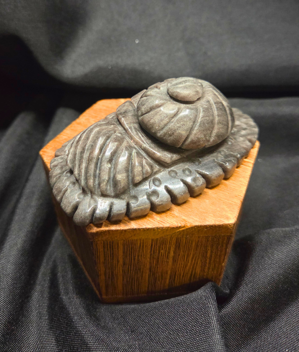 Silver sheen sea creature2